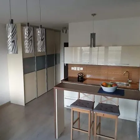 公寓 Apartman Cahm Vila Aston *